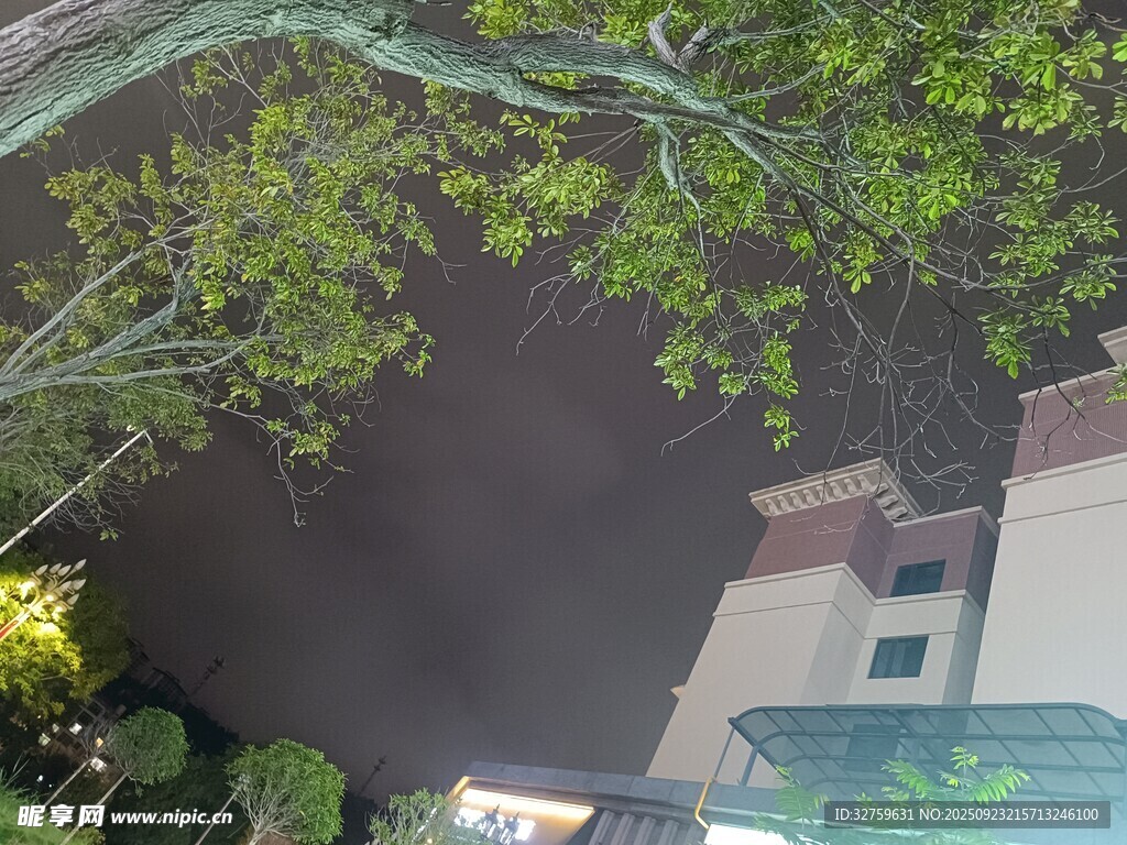 俯瞰绿树环绕的建筑角落
