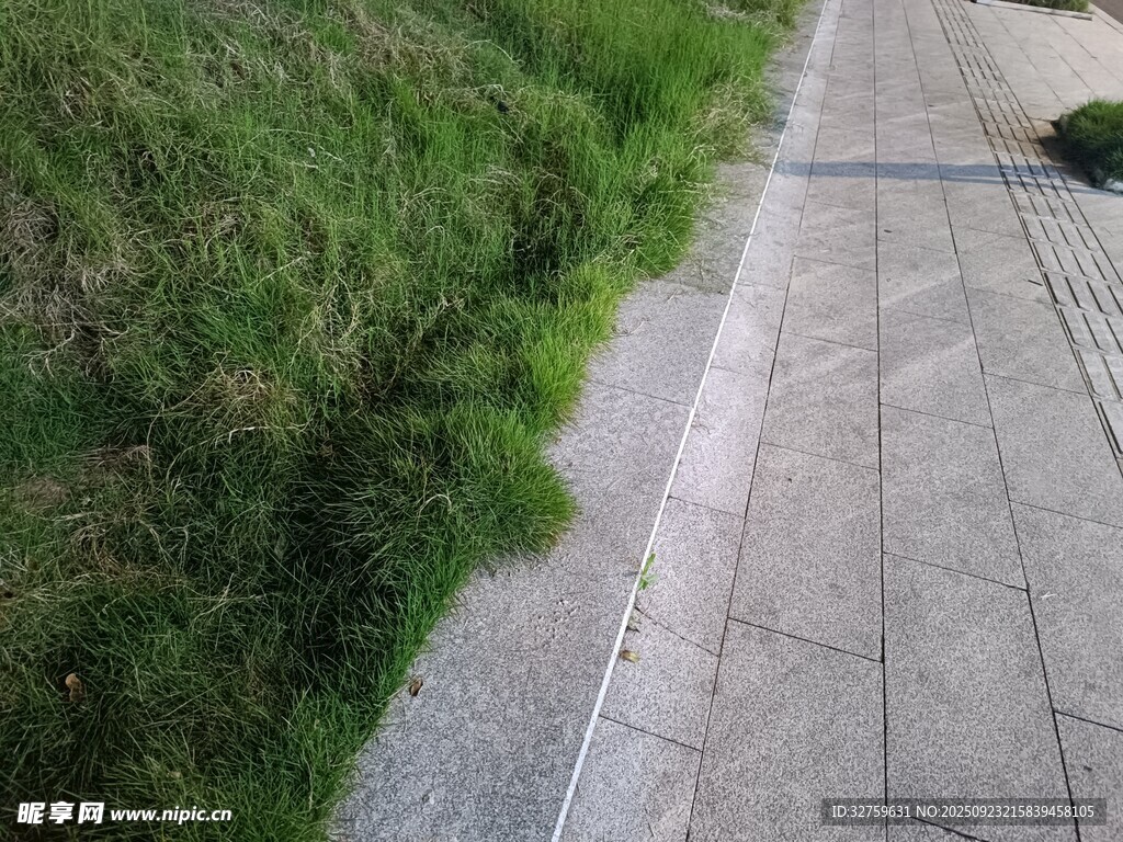 路边草地与砖石路面景象