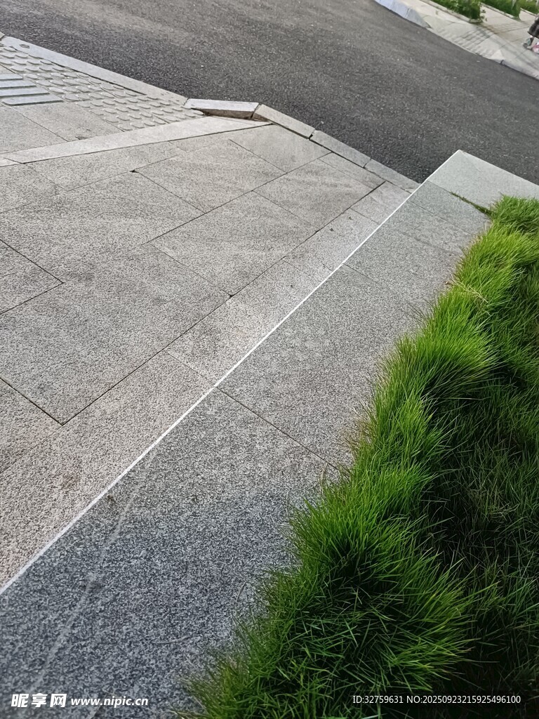 户外石阶旁的翠绿植物