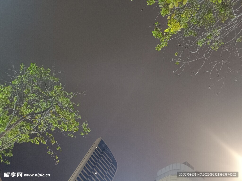 仰视城市楼宇与绿树