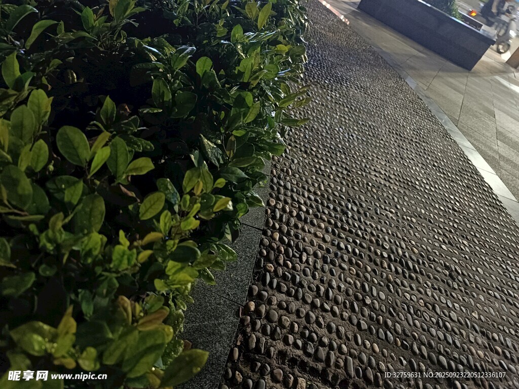 路边绿植旁的纹理路面