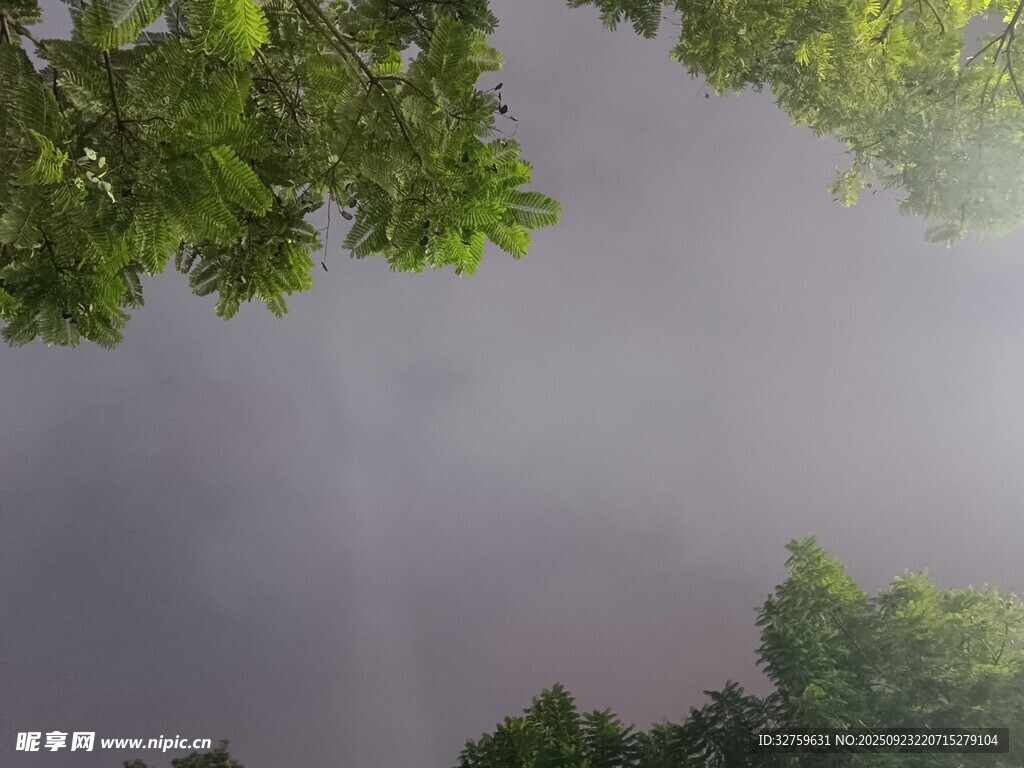 水面倒映绿树与天空