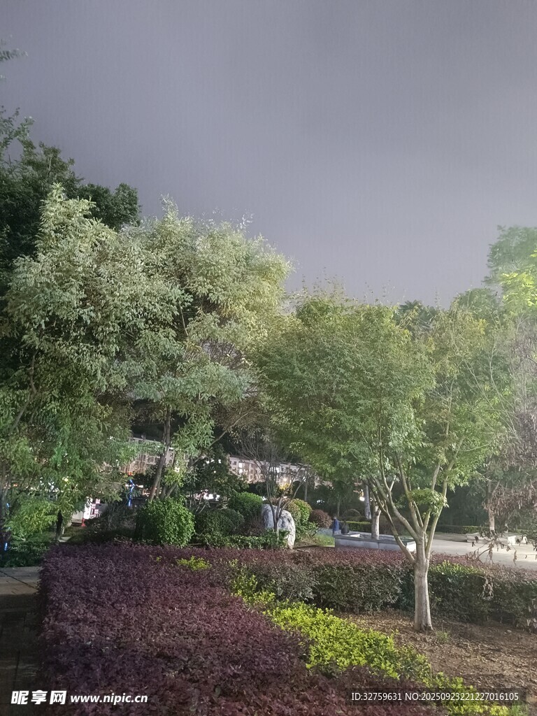 雨中园林景致