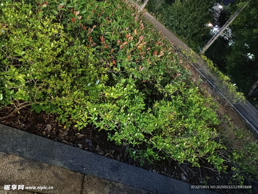屋顶绿植景观