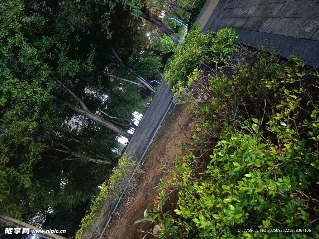 俯瞰绿植环绕的静谧道路