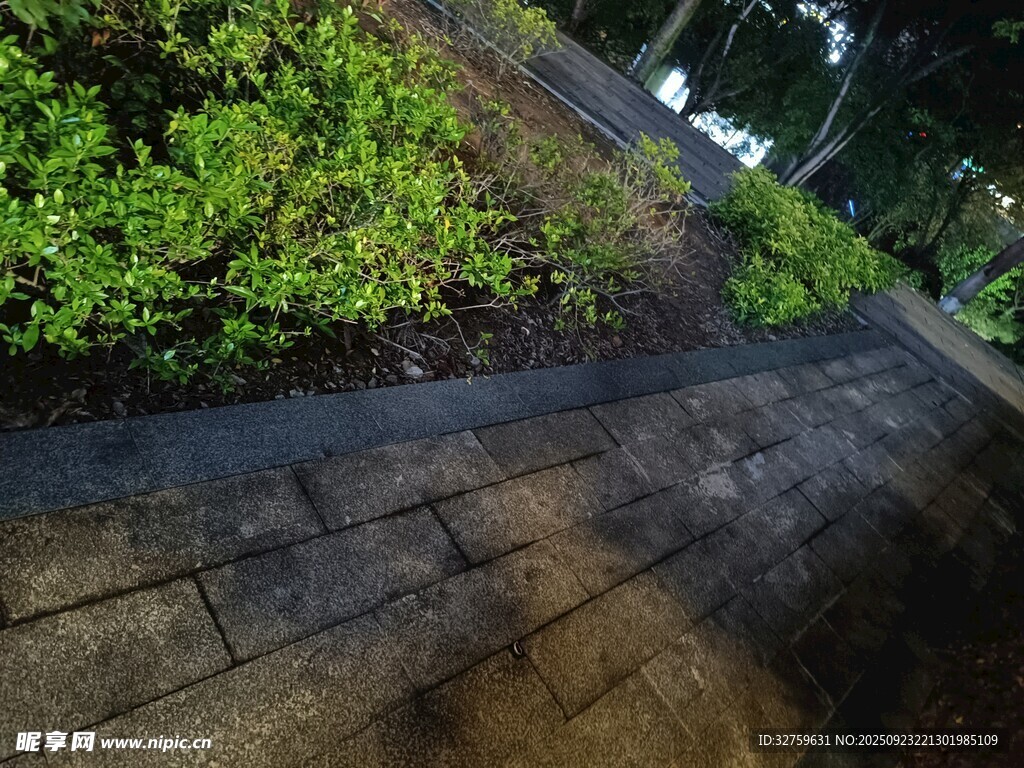 户外砖石小径与绿植景观