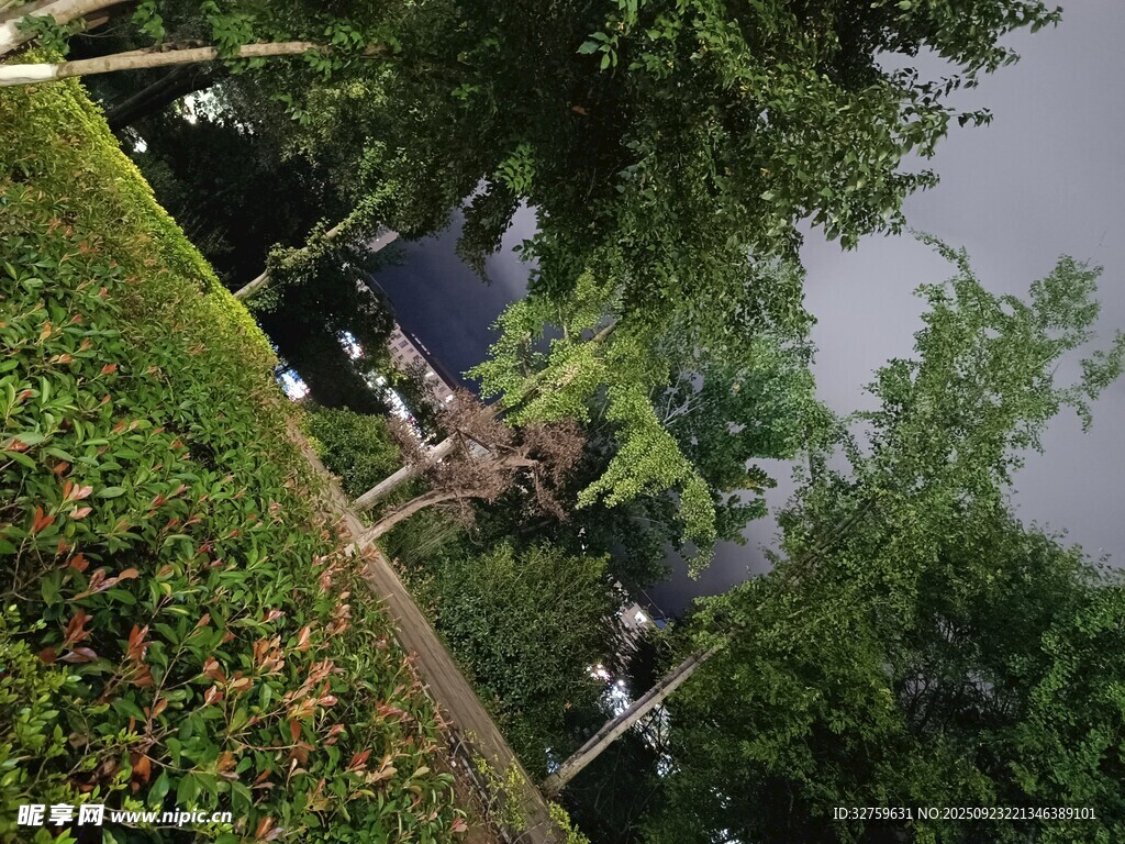 园林景观中的绿植与设施