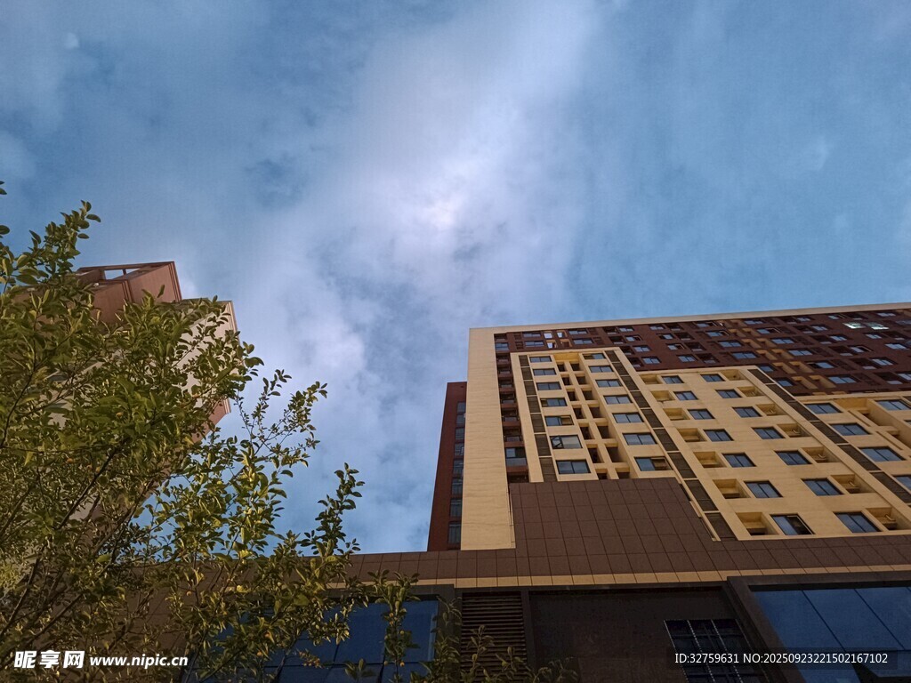仰视城市高楼与绿树