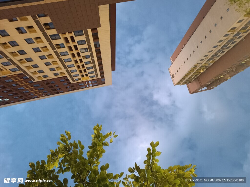 仰视城市高楼与绿树