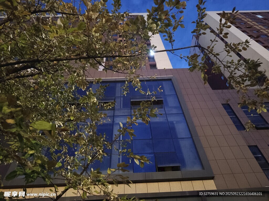 现代建筑外观与绿植景观