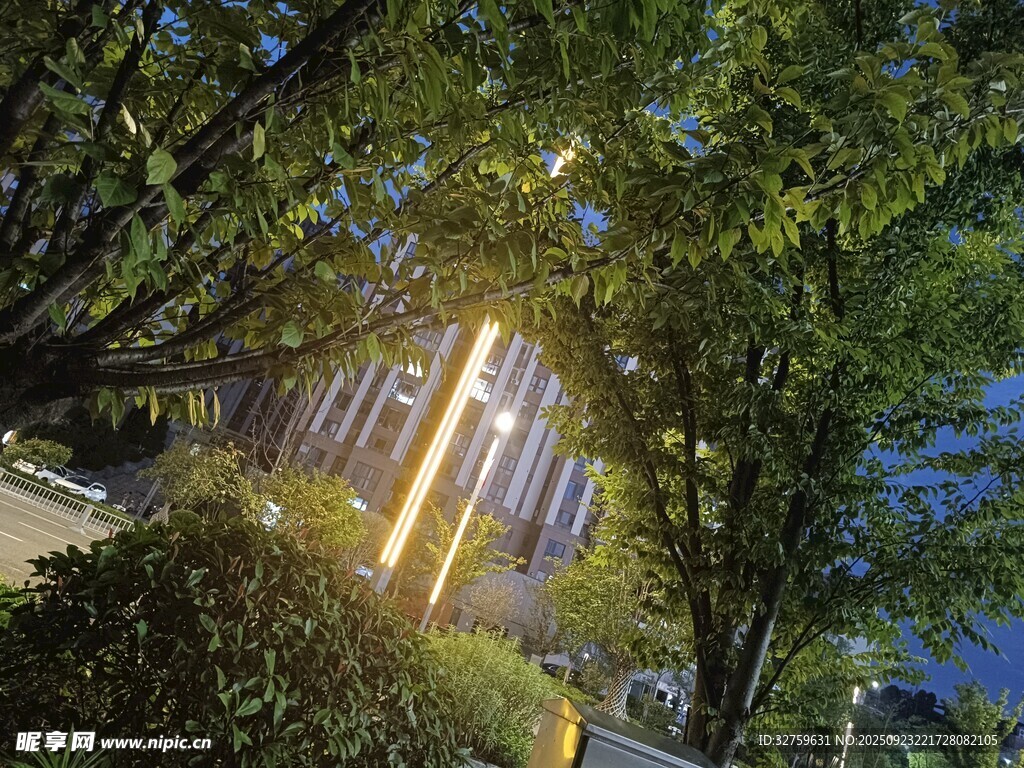 夜晚林间透出的暖光建筑