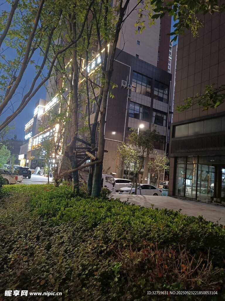 夜晚城市中的建筑与绿化带