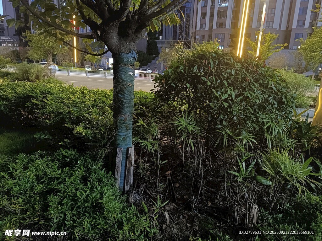 户外绿植景观