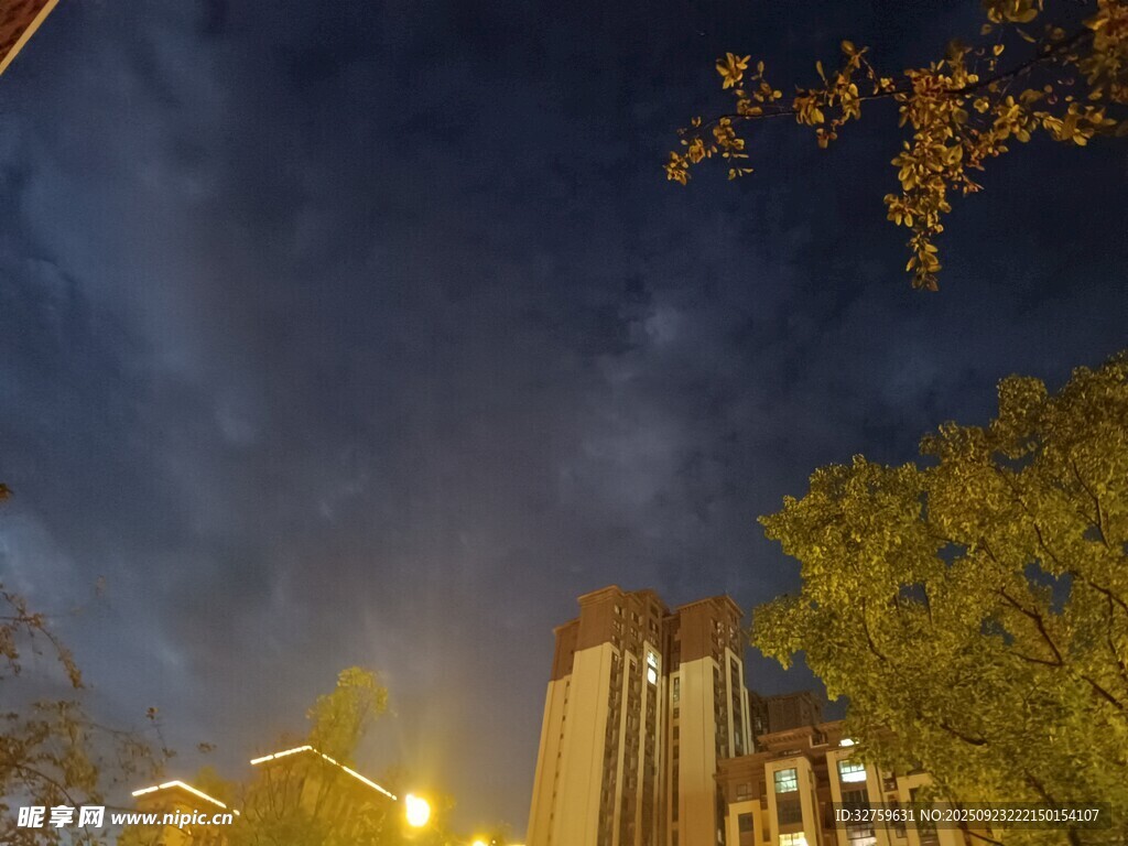 夜幕下的城市与树木景观