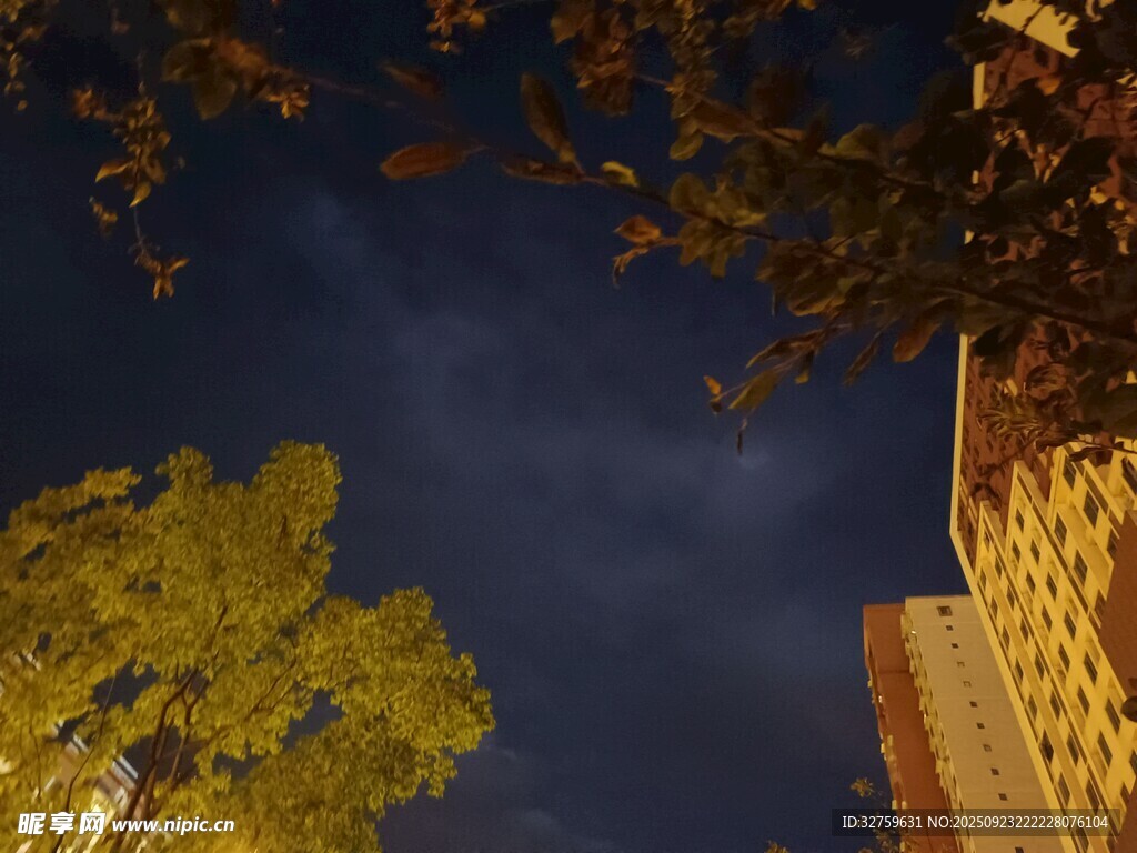 夜空下的树木与建筑