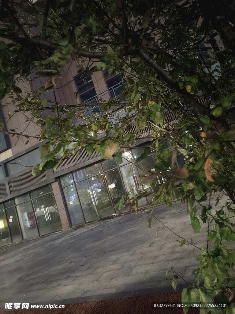 夜晚绿植环绕的建筑外观