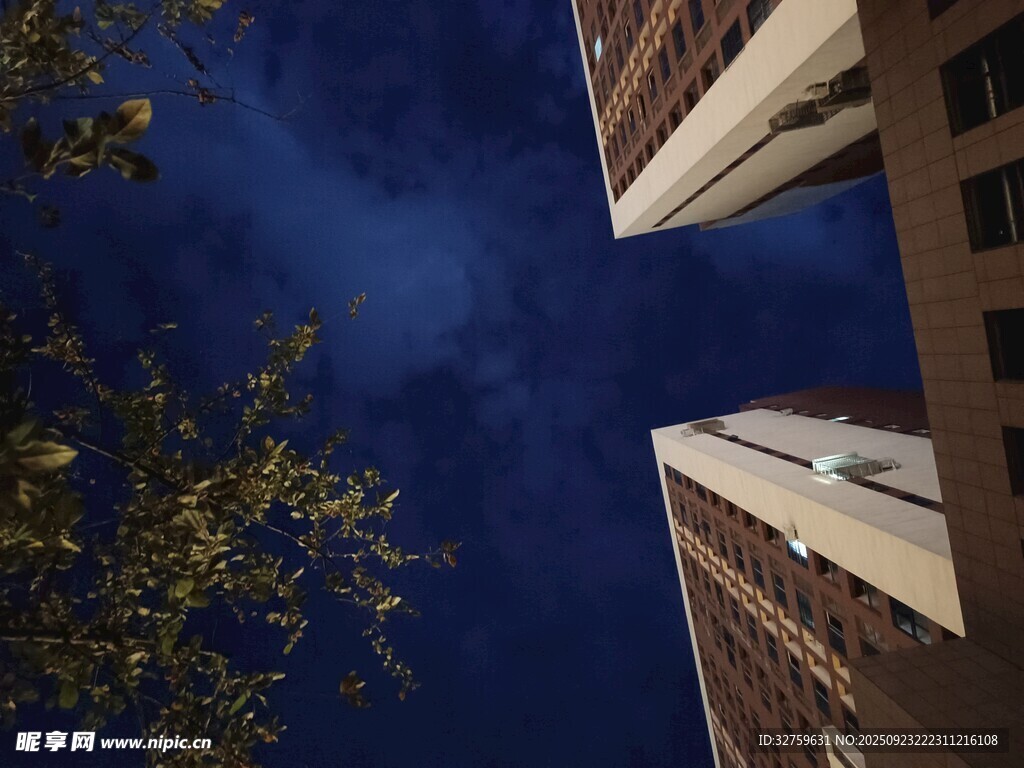 仰望夜空下的高楼与枝叶