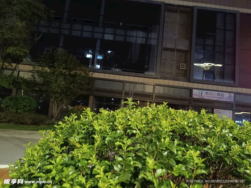 夜晚绿植旁的建筑物