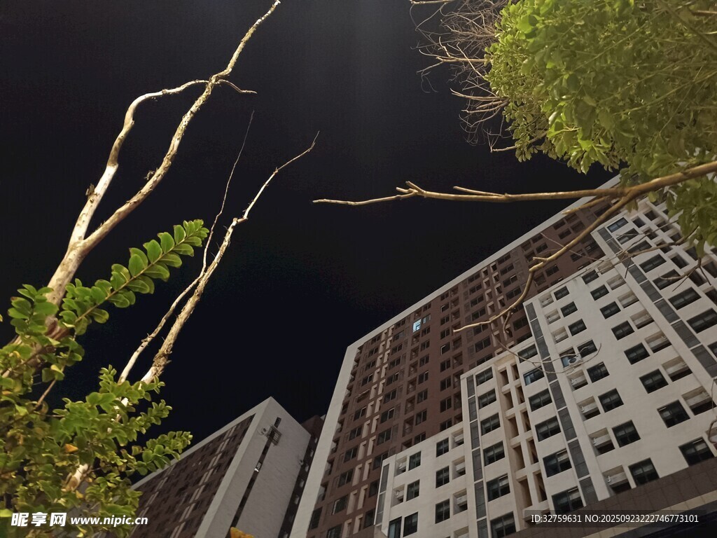 夜下高楼与绿植景观