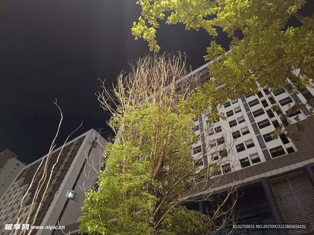 城市中生长的绿意建筑