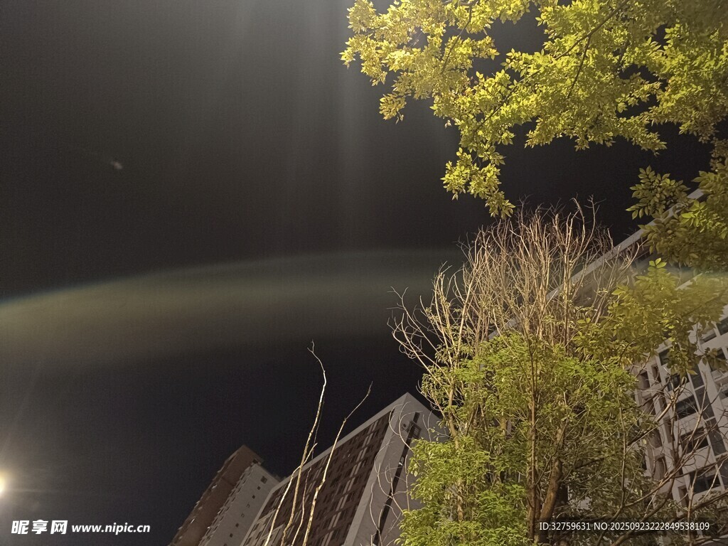 夜晚绿植旁的朦胧景致