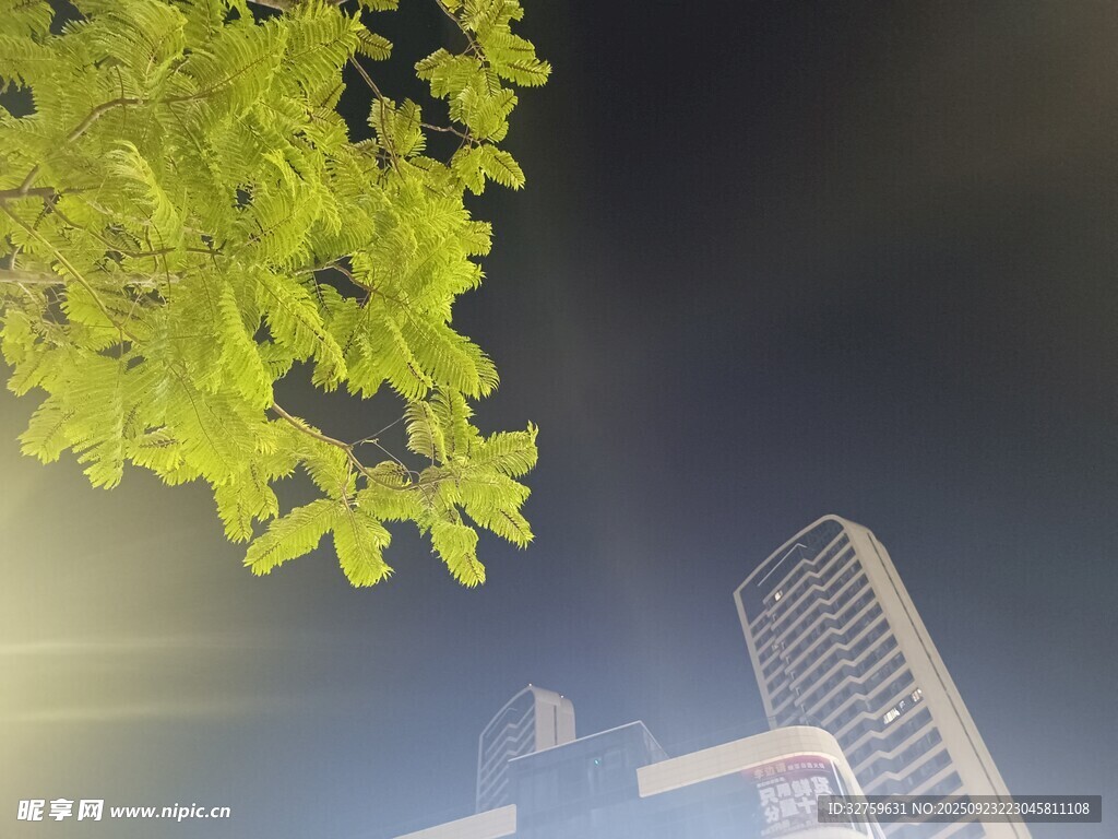 绿叶映衬下的城市建筑