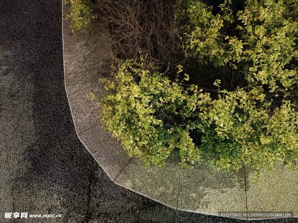 空中俯瞰绿植环绕的区域