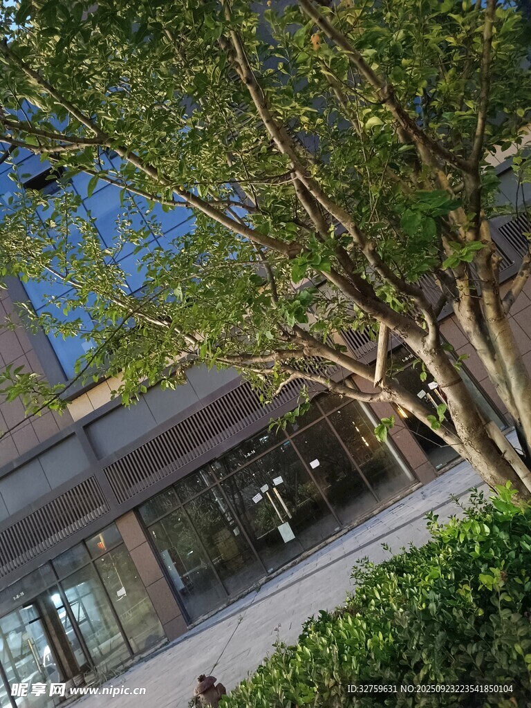 户外绿植环绕的建筑景观