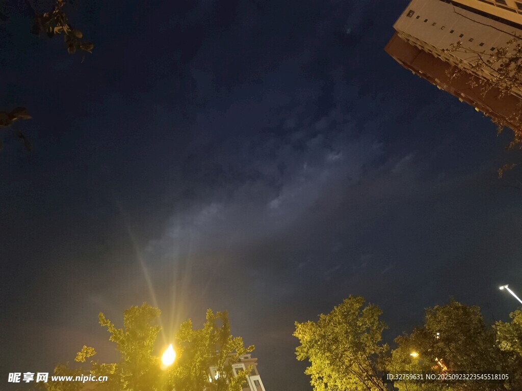 夜空下的城市与树木景观