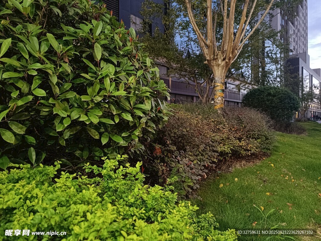 庭院绿植景观一角