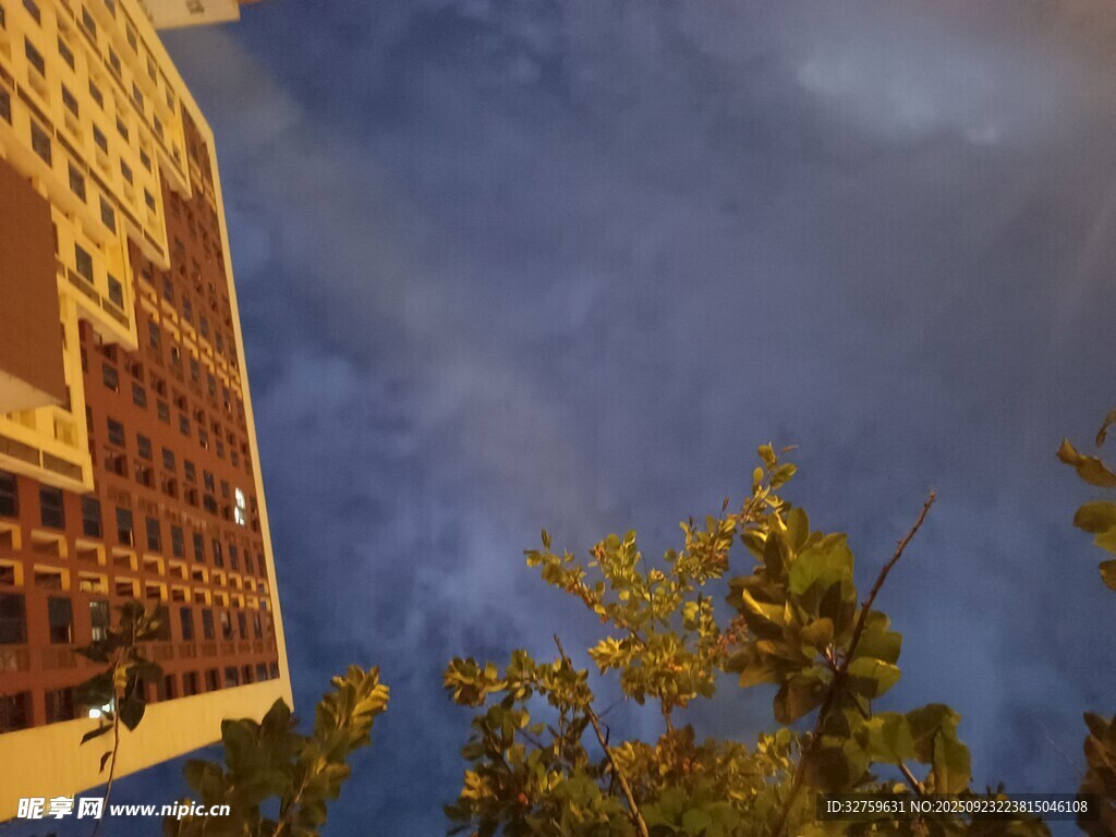 楼前蓝天绿树景致