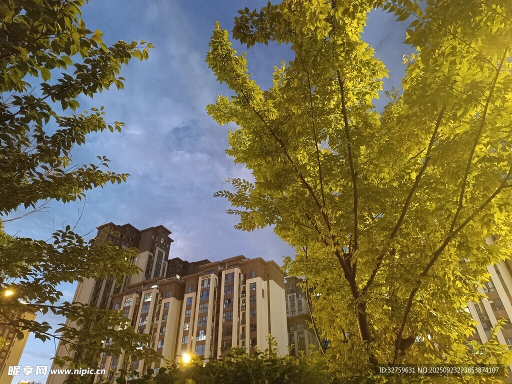 绿树掩映下的城市建筑