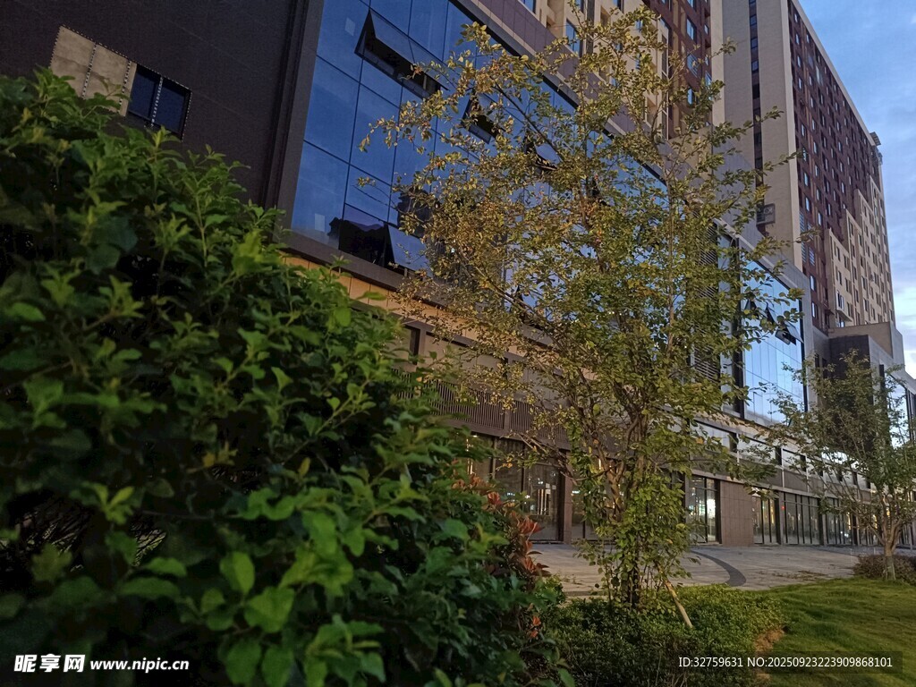 城市绿植与现代建筑景观