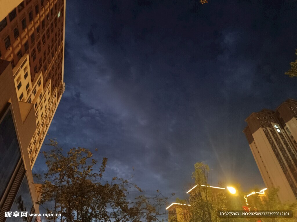 城市夜空下的建筑与树木