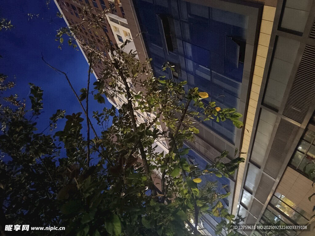夜幕下的建筑与绿植