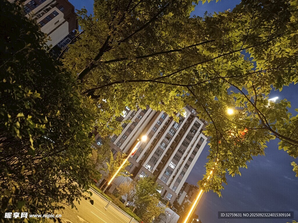 夜幕下的建筑与繁茂树木