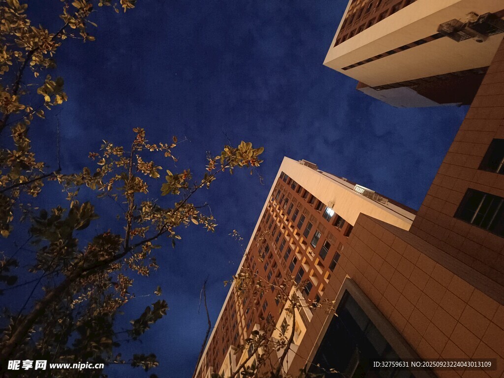 仰望夜空下的建筑与树木