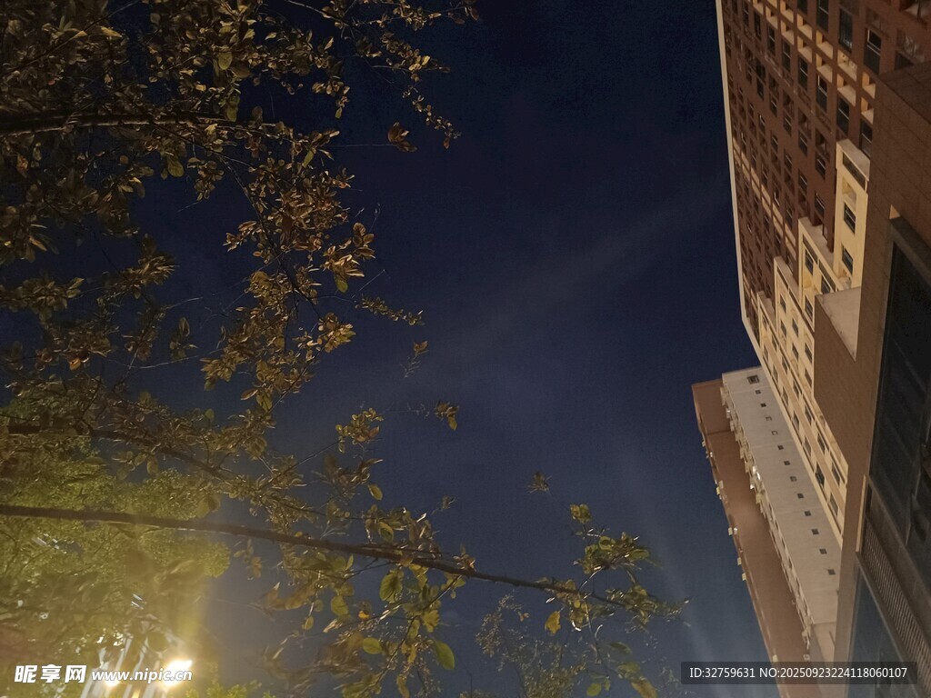 夜晚街景中的建筑与树枝