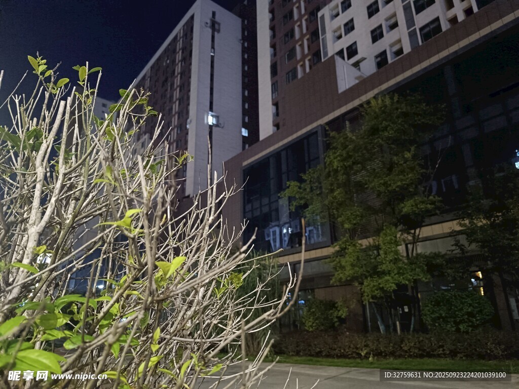 夜晚城市建筑旁的绿植景观