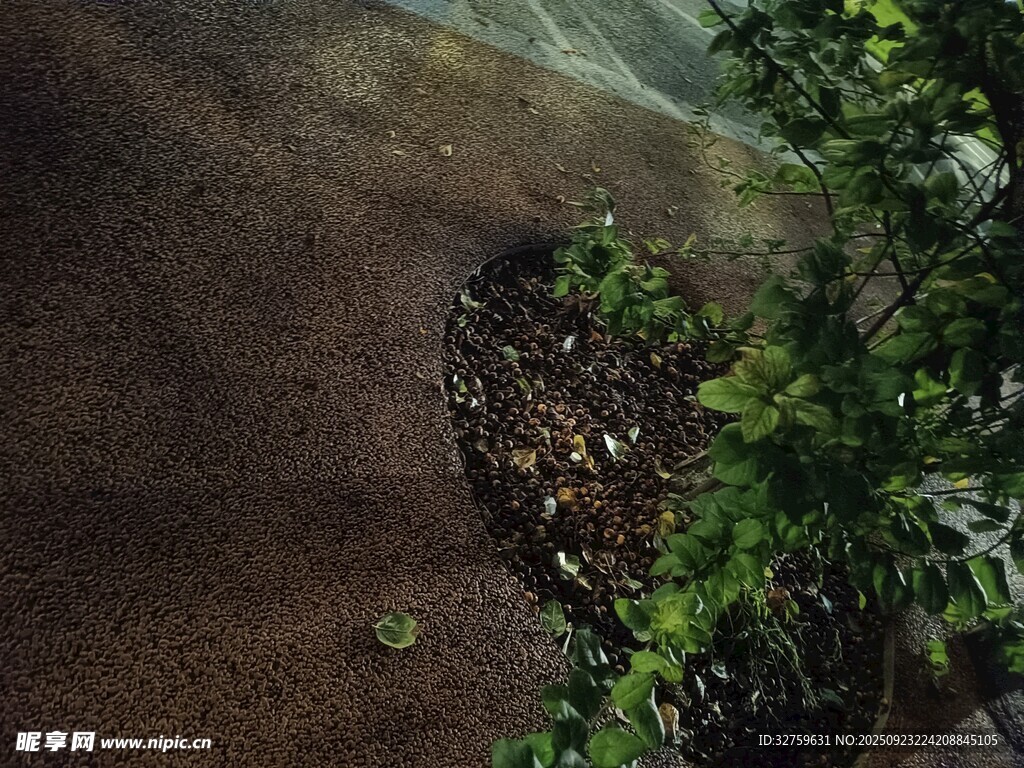 溪边绿植与湿润泥土景象
