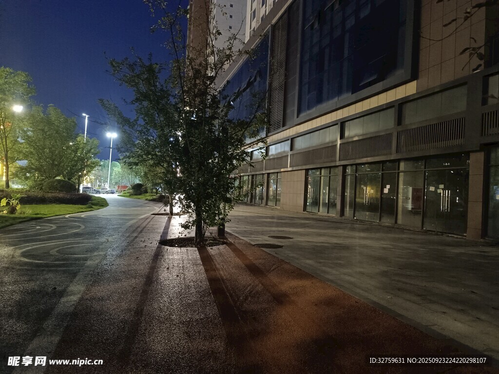 夜晚街道旁的树木与建筑