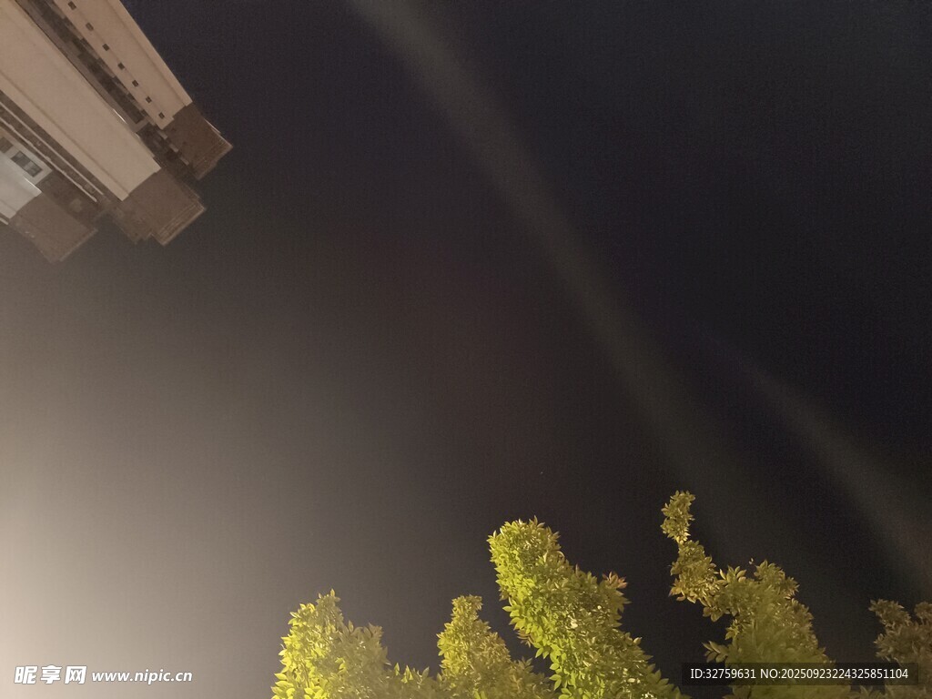 夜空中的光束与绿植