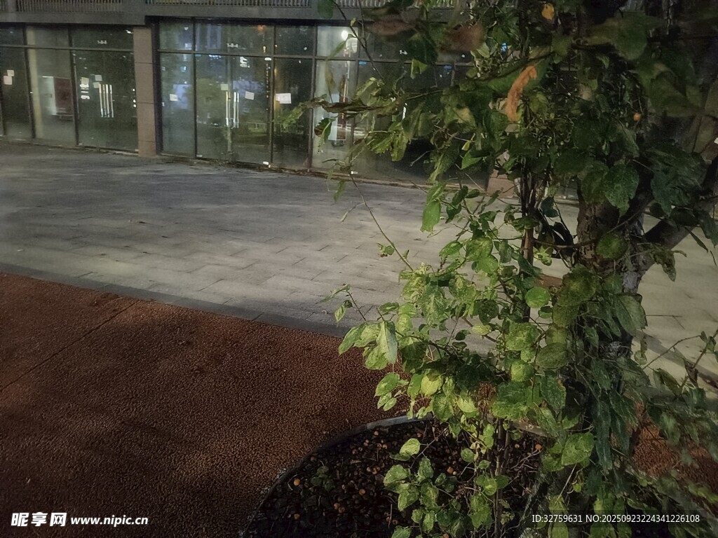 庭院绿植景观