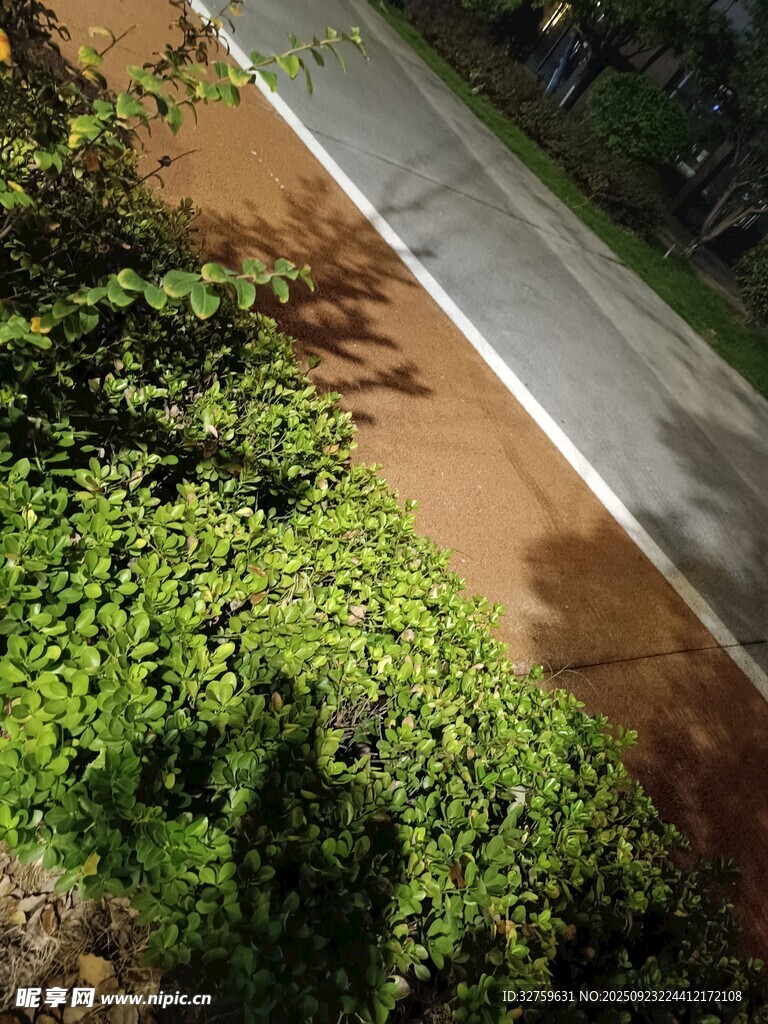俯瞰绿意环绕的道路