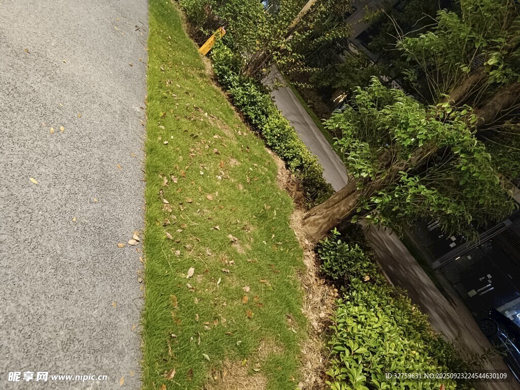 路边绿植景观