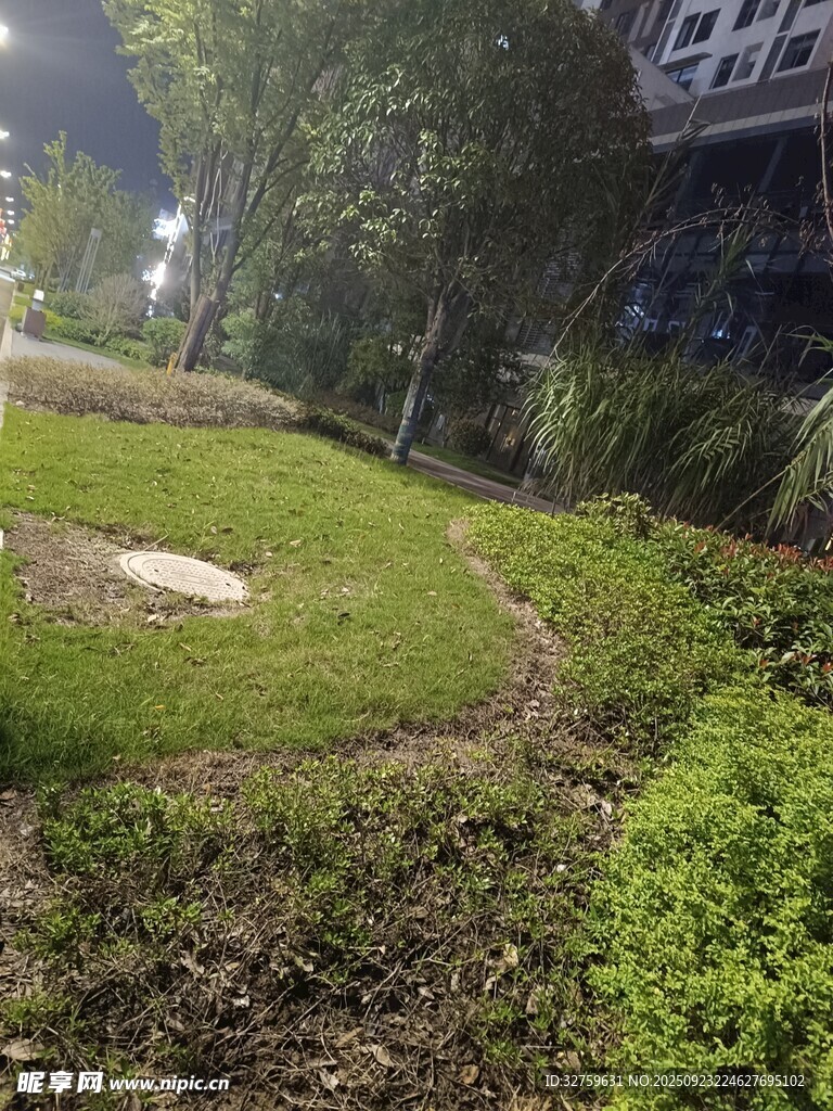 夜晚小区内的绿化景观