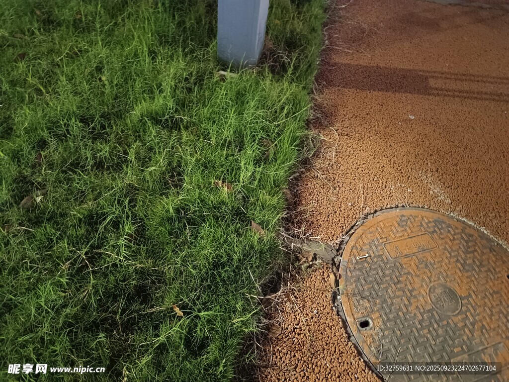 路边草地与排水口场景
