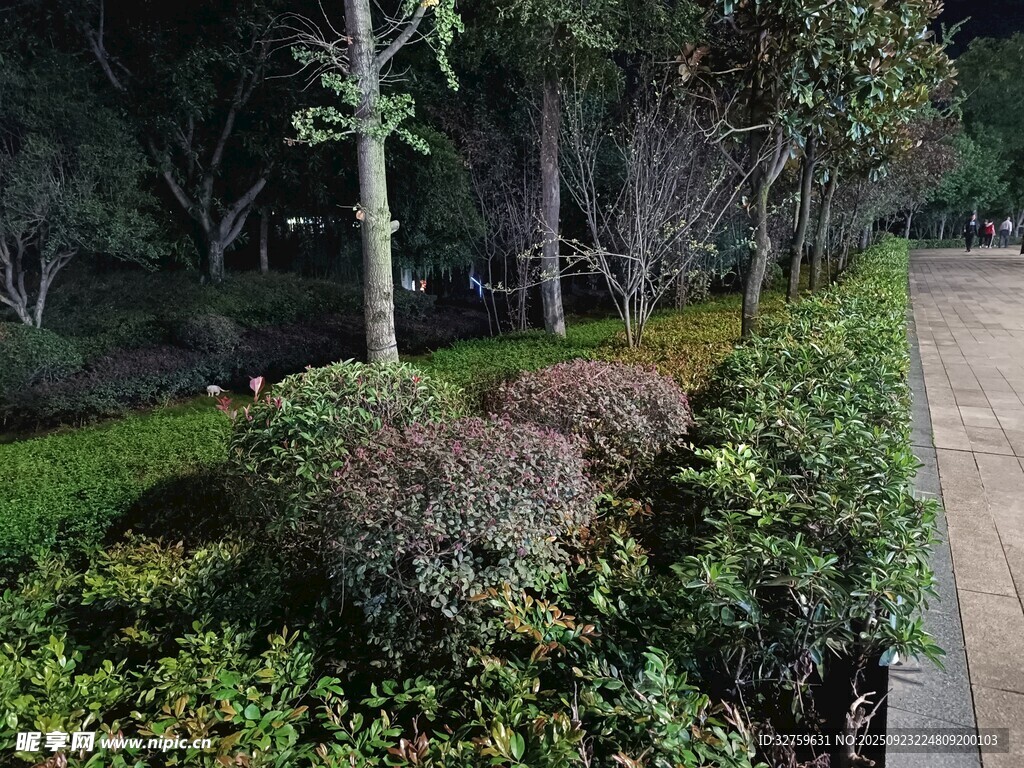 夜晚园林景观一角