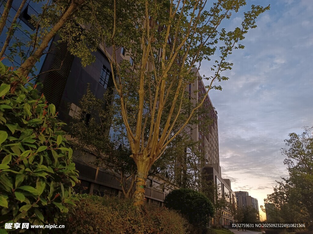 黄昏下的建筑与绿植景观