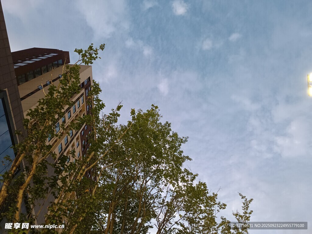 蓝天绿树旁的建筑一角